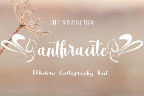 Anthracite Font Review for Web Designers