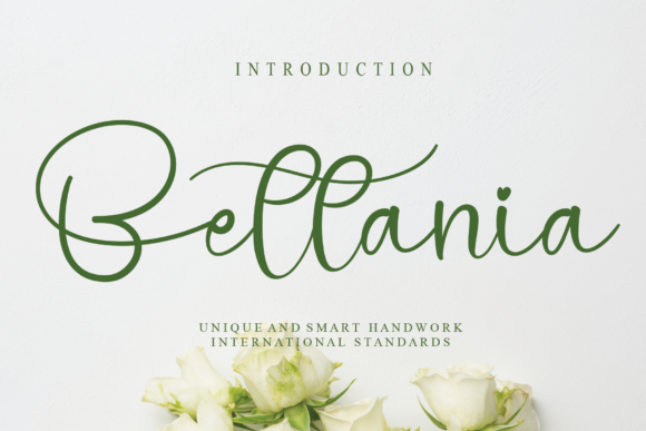 Bettania Font: A Web Designer’s Review