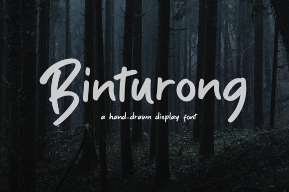 Binturong: A Playful Script Font for Modern Brands