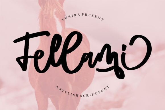 Fellami Font: Elevating Web Design with Script Amp