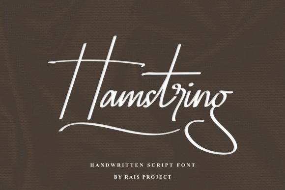 Hamstring: A Delicate Script Font for Marketers