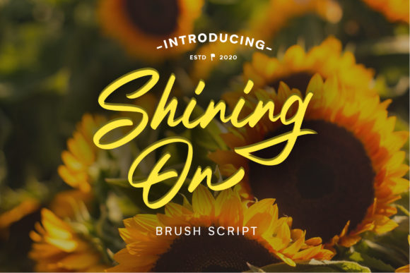 Shining On: A Script Font for Modern Campaigns